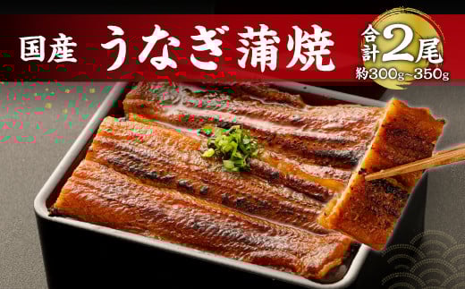 鹿児島産 鰻 蒲焼き 2本 約300〜350g セット 老舗130年の味 うなぎ福岡県直方市24000魚介・海産物うなぎ