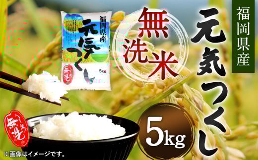 【令和6年産】福岡県産 元気つくし 無洗米 5kg お米 ご飯 米福岡県直方市16000米・パン無洗米