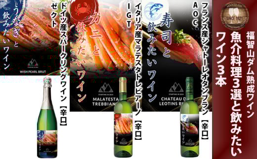 福智山ダム熟成 魚介料理3選と飲みたい白ワイン&スパークリングワイン 3本 詰め合わせセット FD337 熟成ワイン ワイン 酒 お酒福岡県直方市20000酒・アルコールワイン