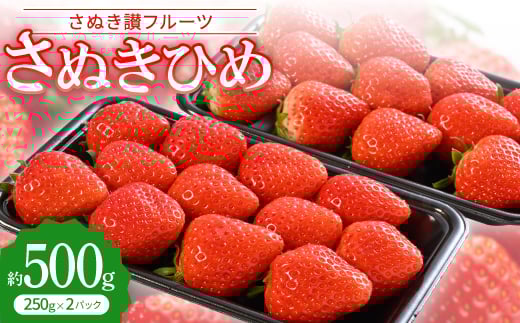 uʂ]t[cvʂЂ @500gߘa8N1`3y1608470z쌧6000ʕEt[c
