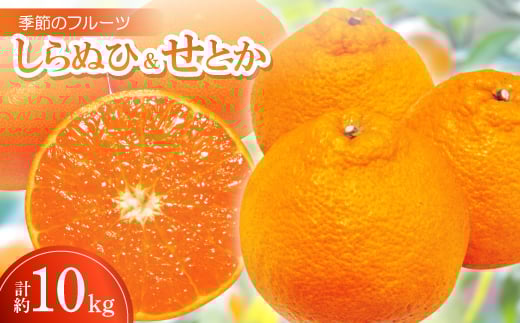 季節のフルーツ「しらぬひ&せとか」計約10kg<令和8年3月発送>【1609814】香川県35000果物・フルーツみかん・柑橘類