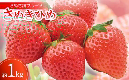 ʂ]t[cuʂЂ߁v1kgߘa8N1`4y1609817z쌧12000ʕEt[c