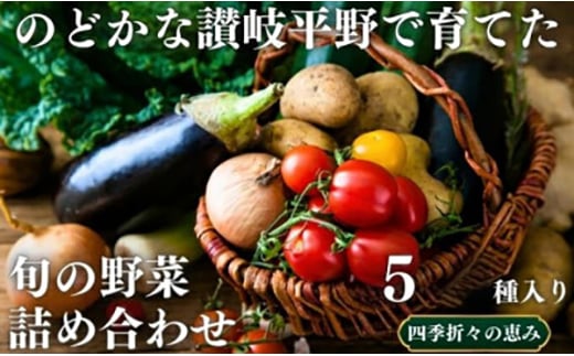 のどかな讃岐平野で育てた 旬の野菜 詰め合わせセット5種【1610457】香川県17000野菜・きのこその他 野菜