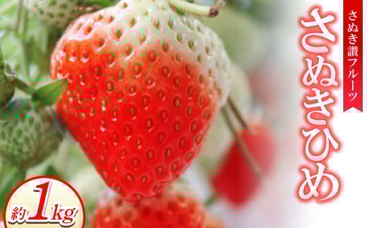 ʂ]t[cuʂЂ߁v1kg ߘa8N1{菇y1611393z쌧18000ʕEt[c
