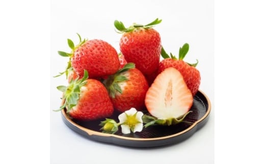 極甘さぬき姫 約1kg(250g×4パック)【1678250】香川県10000果物・フルーツいちご