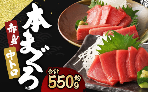 長崎県産 本マグロ2種盛り「中トロ・赤身」約550g【大村湾漁業協同組合】長崎県時津町20000魚介・海産物鮮魚