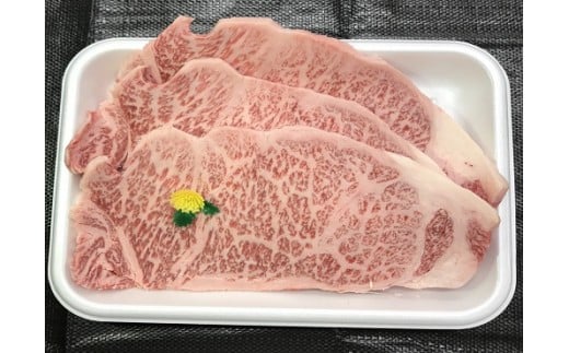 長崎和牛サーロインステーキセット(600g)長崎県時津町34000肉牛肉