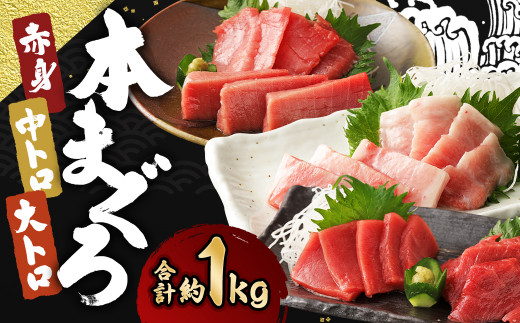長崎県産 本マグロ3種盛り「大トロ・中トロ・赤身」約1.0kg【大村湾漁業協同組合】長崎県時津町34000魚介・海産物鮮魚