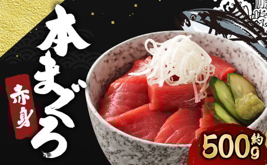 長崎県産 本マグロ「赤身」約500g【大村湾漁業協同組合】長崎県時津町16000魚介・海産物鮮魚