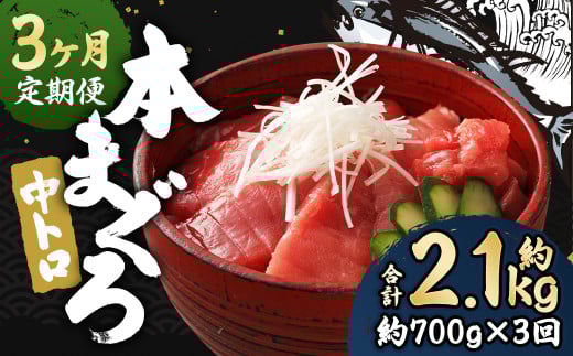 【3ヶ月定期便】長崎県産 本マグロ「中トロ」約700g 【大村湾漁業協同組合】 生食用長崎県時津町67000魚介・海産物鮮魚