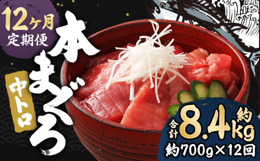 【12ヶ月定期便】長崎県産 本マグロ「中トロ」約700g 【大村湾漁業協同組合】 生食用長崎県時津町266000魚介・海産物鮮魚