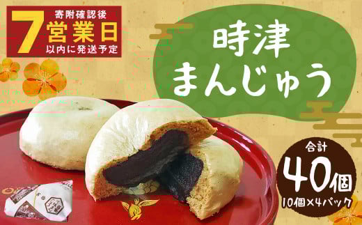 長崎県 時津まんじゅう 10個入り×4パック 計40個 こしあん 名物 銘菓長崎県時津町11000菓子・スイーツ饅頭・羊羹・大福