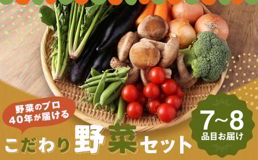 野菜のプロ40年が届けるこだわり野菜セット! 7〜8品目 詰め合わせ 【2026年1月上旬より順次発送予定】長崎県時津町5000野菜・きのこその他 野菜