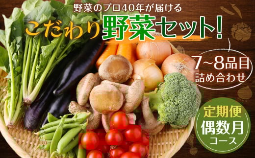 【定期便 偶数月コース】野菜のプロ40年が届けるこだわり野菜セット! 7〜8品目 詰め合わせ 【2026年2月上旬より発送開始】長崎県時津町30000野菜・きのこその他 野菜