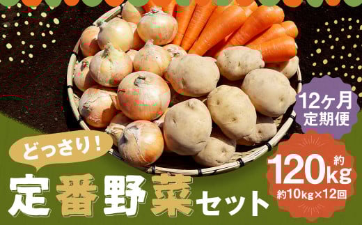 【定期便 12回コース】定番野菜セット定期便 どっさり!約10kg×12回コース じゃがいも 玉ねぎ にんじん かぼちゃ長崎県時津町120000野菜・きのこその他 野菜