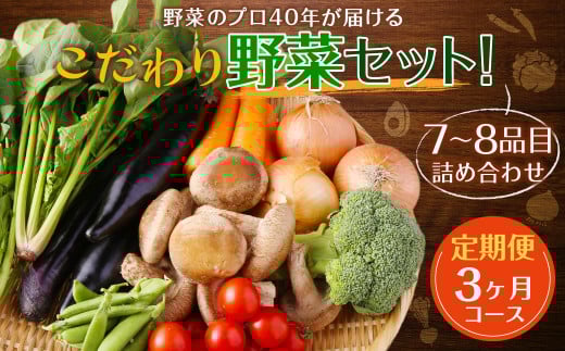 【定期便 3ヶ月コース】 野菜のプロ40年が届けるこだわり野菜セット! 7〜8品目 詰め合わせ 【2026年1月上旬より発送開始】長崎県時津町15000野菜・きのこその他 野菜