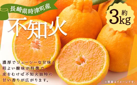 【数量限定】長崎県 時津町産 不知火 約3kg 柑橘 果物【2026年3月下旬-4月下旬迄発送予定】長崎県時津町10000果物・フルーツみかん・柑橘類