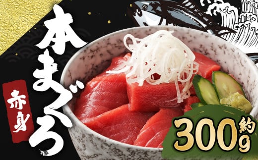 長崎県産 本マグロ赤身 300g 2人前〜3人前 【大村湾漁業協同組合】長崎県時津町8000魚介・海産物鮮魚