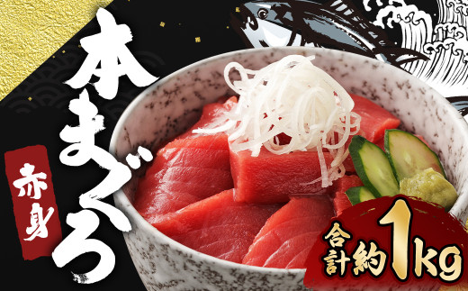 長崎県産 本マグロ赤身 1kg 8人前〜10人前 【大村湾漁業協同組合】長崎県時津町27000魚介・海産物鮮魚