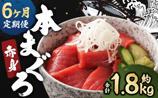 【6ヶ月定期便】長崎県産 本マグロ 赤身 300g 2人前〜3人前 鮪 魚 刺身 【大村湾漁業協同組合】長崎県時津町48000魚介・海産物鮮魚