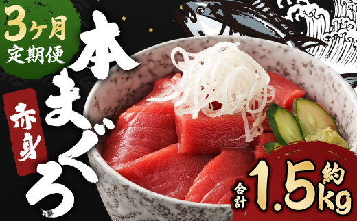 y3ցz茧Y {}O Ԑg 500g   hg y呺pƋgz茧Ò47000ECYN