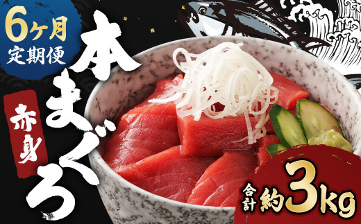 【6ヶ月定期便】長崎県産 本マグロ 赤身 500g 鮪 魚 刺身 【大村湾漁業協同組合】長崎県時津町93000魚介・海産物鮮魚