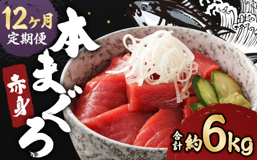 【12ヶ月定期便】長崎県産 本マグロ 赤身 500g 鮪 魚 刺身 【大村湾漁業協同組合】長崎県時津町186000魚介・海産物鮮魚