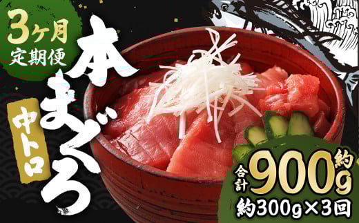 【3ヶ月定期便】 長崎県産 本マグロ「中トロ」約300g【大村湾漁業協同組合】長崎県時津町33000魚介・海産物鮮魚