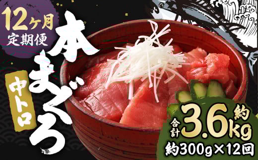 y12ցz 茧Y {}Ougv300gy呺pƋgz茧Ò132000ECYN