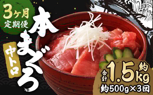 【3ヶ月定期便】 長崎県産 本マグロ「中トロ」約500g【大村湾漁業協同組合】長崎県時津町48000魚介・海産物鮮魚