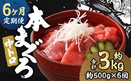 y6ցz 茧Y {}Ougv500gy呺pƋgz茧Ò96000ECYN