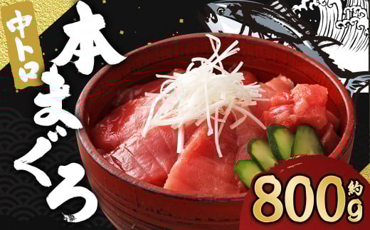 長崎県産 本マグロ「中トロ」約800g【大村湾漁業協同組合】長崎県時津町25000魚介・海産物鮮魚