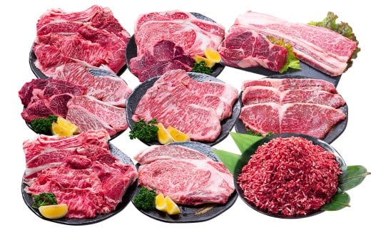 【12回定期便】 長崎和牛 プレミアムコース / 12回定期便 和牛 牛肉 お肉 肉 サーロイン もも カルビ バラ ロース リブロース すね 牛ミンチ ミンチ ヒレ トモサンカク シキンボ ステーキ 焼