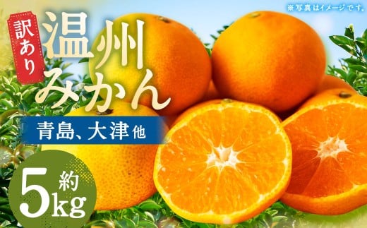 【訳あり】 長崎県時津町産 温州みかん (青島、大津他) 約5kg (2L〜3Lサイズ) 【2025年12月下旬〜2026年1月下旬迄発送予定】 5キロ 蜜柑 みかん 柑橘 果物 果実 フルーツ 国産 九州 長崎県 時