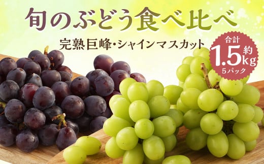 ご家庭用 旬のぶどう食べ比べ 完熟巨峰 シャインマスカット 詰め合わせ 計5パック 約1.5kg 【2026年8月下旬〜9月下旬迄発送予定】ぶどう 葡萄 ブドウ 果物 フルーツ長崎県時津町16000果物・フ