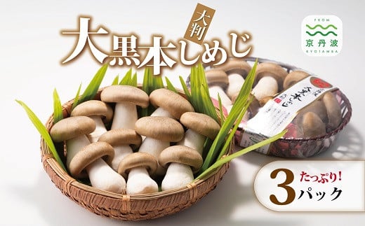 单{߂ 唻 3pbNZbg i Y s ̂ LmR Og ߂ H VLVL VՂ  uߕ j kCEȆւ̔zs [012MK001]s{Og12000