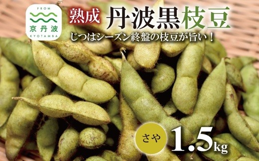 熟成 丹波黒枝豆 さや 1.5kg(京都 京丹波町産 丹波黒大豆)≪秋だけの期間限定 数量限定≫【季節限定  おつまみ  枝豆 えだまめ  地域限定 黒豆 ご当地グルメ 特産品】※北海道・沖縄・その