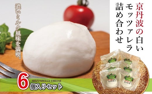 Og̔bc@lߍ킹@[010MS002]s{Og14000Ei`[Y