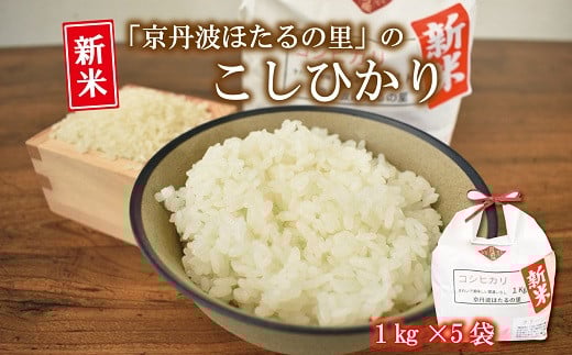 Ogق̗̂Ђ 1kg×5܁i5kgj s RVqJ    kCEȆ͔zs [010HS004L]s{Og14000āEp