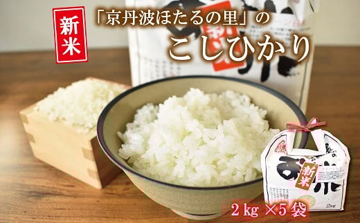 Ogق̗̂Ђ 2kg×5܁i10kgj s RVqJ    kCEȆ͔zs [018HS001L]s{Og28000āEp