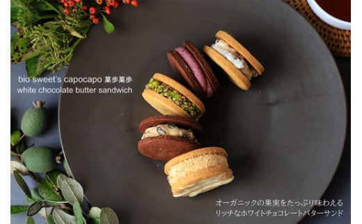 L@ʎ̃zCg`R[go^[Th5lߍ킹@[014NA003]s{Og15000َqEXC[cĂَq