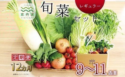 【12回定期便】 京丹波 旬菜セット レギュラー 9〜11品目 《12カ月定期便》 定期便 野菜 詰め合わせ 京都 丹波 京丹波町産 産地直送 京野菜 減塩 レシピ ※北海道・東北・沖縄・その他離島は