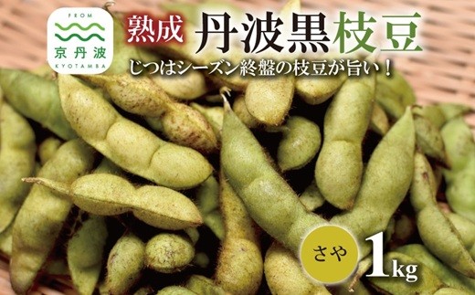 熟成 丹波黒枝豆 さや 1kg(京都 京丹波町産 丹波黒大豆)≪秋だけの期間限定 数量限定≫【季節限定 おつまみ 枝豆 えだまめ 地域限定 黒豆 ご当地グルメ 特産品】※北海道・沖縄・その他