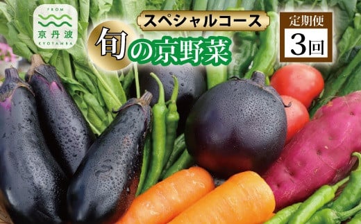 【3回定期便】旬の京野菜 毎月お届けスペシャルコース(全3回) 《野菜定期便 野菜詰め合わせ 野菜セット 京野菜 旬の野菜 新鮮野菜 有機野菜 減農薬》 ※沖縄・その他離島は配送不可 [04