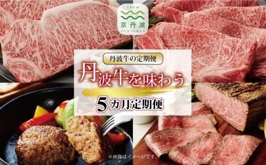 【5回定期便】丹波牛を味わう定期便 5カ月連続 定期便 ( 定期便 和牛 黒毛和牛 京都 丹波 丹波牛 牛肉 すき焼き 焼肉 しゃぶしゃぶ 鍋 ステーキ ローストビーフ ハンバーグ 手作り 霜ふり 赤