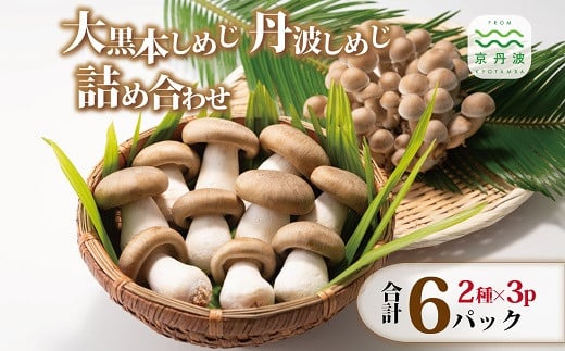 大黒本しめじ 丹波しめじ 詰め合わせ  ( 国産 京都 きのこ キノコ 丹波 しめじ 本シメジ はたけしめじ カット 食感 シャキシャキ 旨味たっぷり 天ぷら 鍋 炒め物 ) ※北海道・沖縄・その他