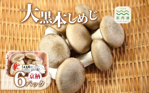 单{߂  6pbNZbg i Y s ̂ LmR Og ߂ H VLVL |Ղ VՂ  uߕ j kCEȆւ̔zs [010MK002]s{