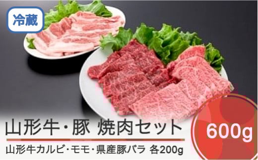 R` JrR`Y؃oēZbg v600g ik-gnkyx650R`Γc26000
