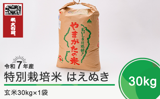 新米 米 令和8年3月上旬発送 はえぬき30kg 玄米 令和7年産 ※沖縄・離島への配送不可 ja-hagxa30-3f山形県大石田町69000米・パン白米