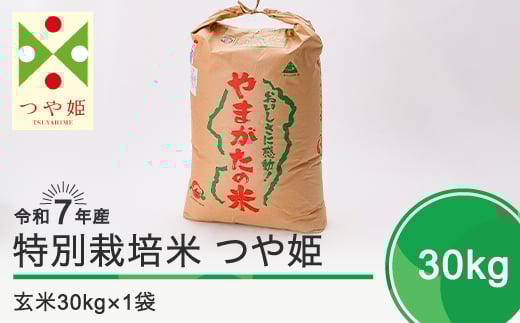 新米 米 令和8年3月上旬発送 つや姫30kg 玄米 令和7年産 ※沖縄・離島への配送不可 ja-tsgxa30-3f山形県大石田町72000米・パン白米